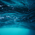 Hoe draagt hergebruik van regenwater bij aan duurzaamheid?