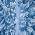 Waarom warmere winters niet altijd goed nieuws zijn voor de natuur