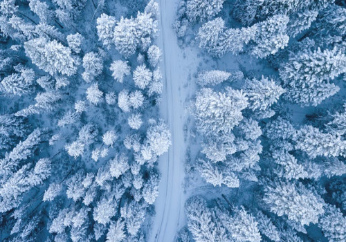 Waarom warmere winters niet altijd goed nieuws zijn voor de natuur