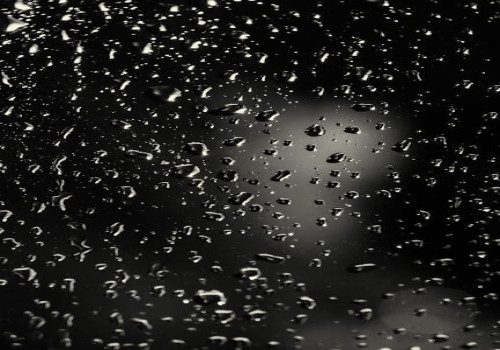 Hoe regenwater opvangen in de tuin helpt tegen droogte én wateroverlast