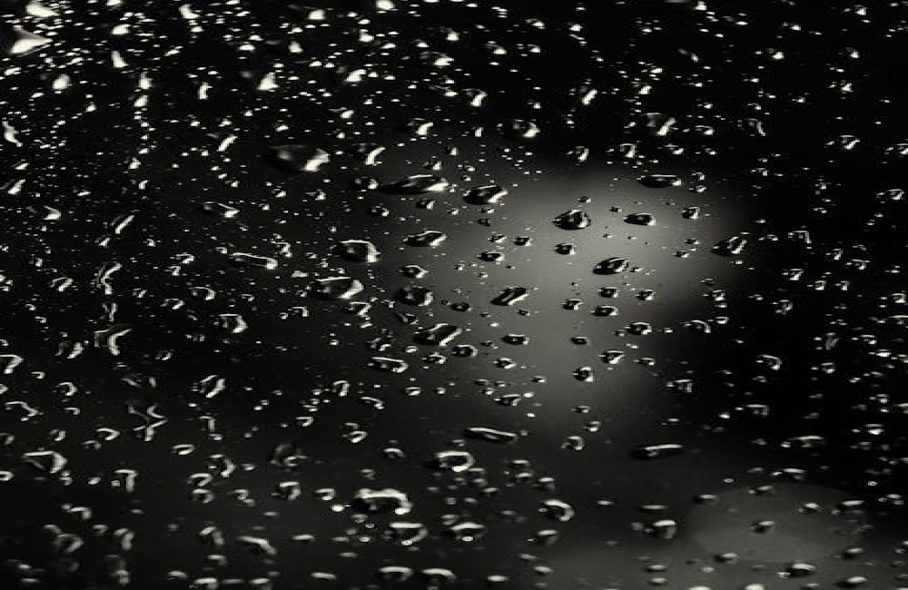 Hoe regenwater opvangen in de tuin helpt tegen droogte én wateroverlast