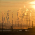Wat is natuurlijke klimaatregulatie en hoe werkt het precies