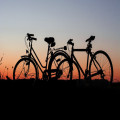Welke 3 uitjes op vakantie zijn klimaat neutraal?