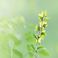 Botanische tuinen op Kreta? Dit zijn de 3 mooiste!