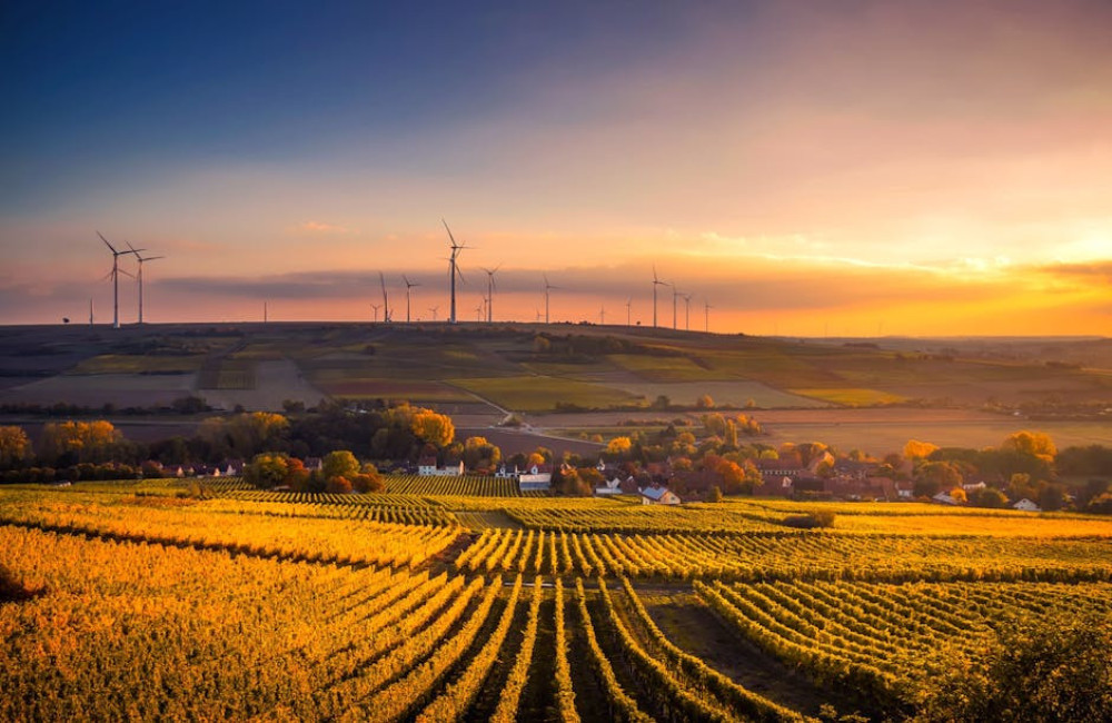Wat is een circulaire economie en hoe draagt het bij aan een groenere toekomst?