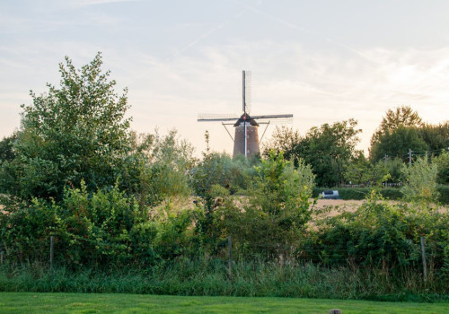 Vakantieparken in Nederland: voordelig genieten van comfort en natuur