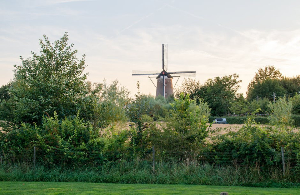 Vakantieparken in Nederland: voordelig genieten van comfort en natuur