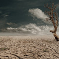 Wat is het verschil tussen klimaatverandering en broeikaseffect?