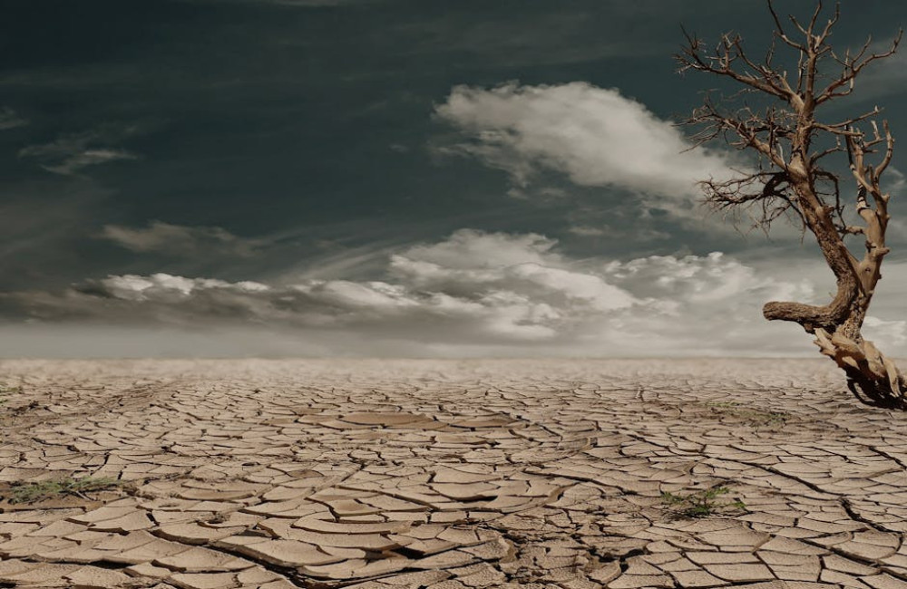 Wat is het verschil tussen klimaatverandering en broeikaseffect?