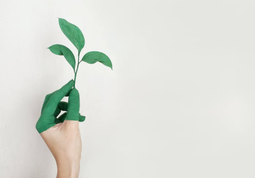 Hoe kun je als klein bedrijf duurzamer ondernemen?
